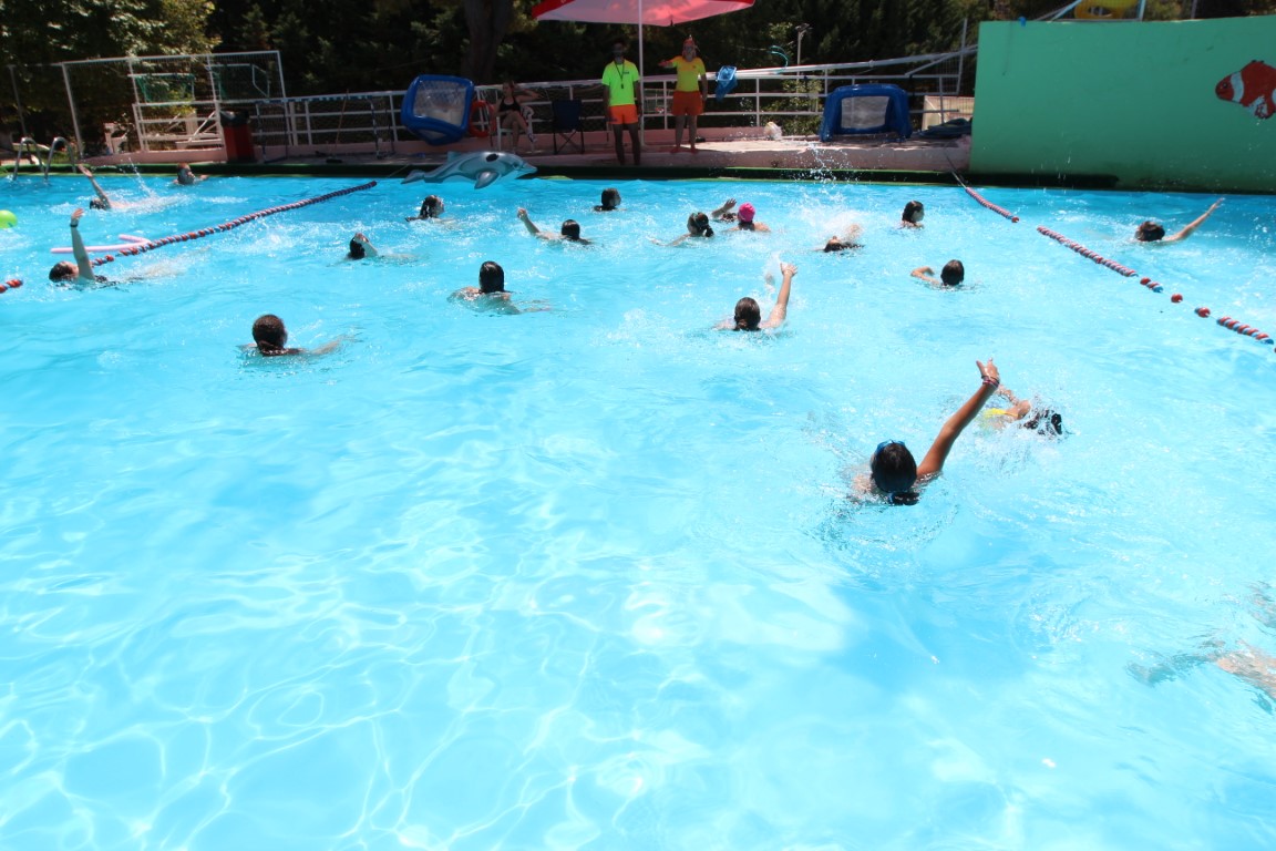IMG_5987-Medium.jpg